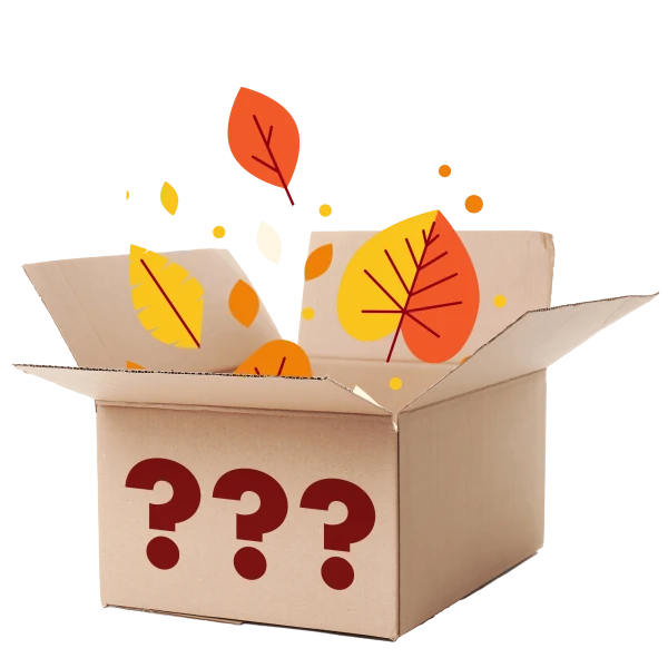 8-Piece: Premium Fall Mystery Bundle