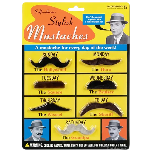 Stylish Mustache Kit