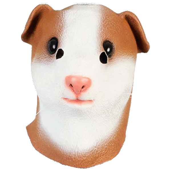 Pick-Your-2-Pack: Animal Masks