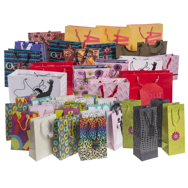 42-Pack Gift Bags