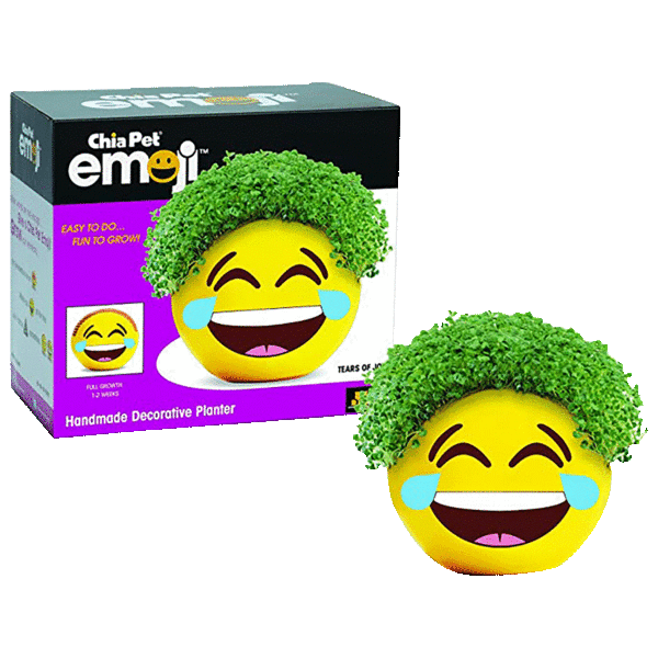 Chia Pet Richard Simmons, Willie Nelson or Emoji