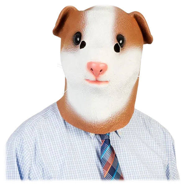 Guinea Pig Mask