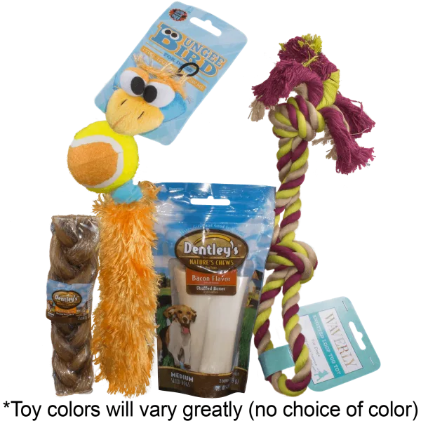 Dog Toy Bundle