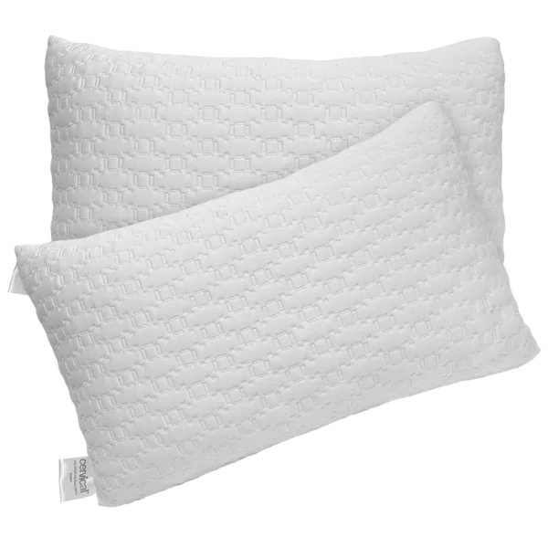 2-Pack: Bed & Brand Adjustable Bamboo Pillows
