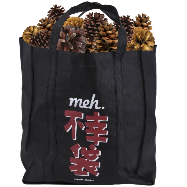 Fukobukuro 19: Fools Rush In