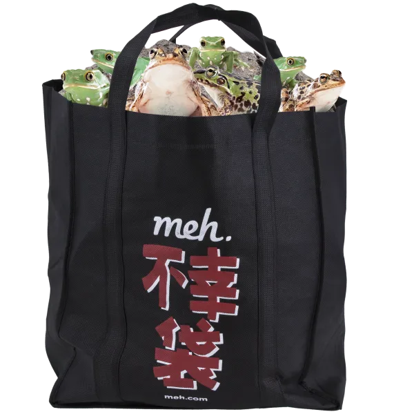 Fukobukuro 19: Fools Rush In