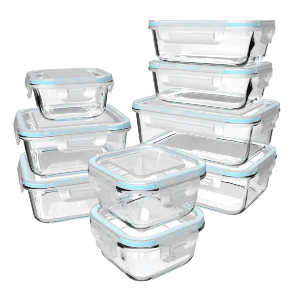Salient 18 Piece Borosilicate Glass Food Storage with Easy Lock Lids
