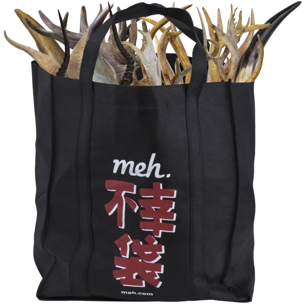 Fukobukuro 19: Fools Rush In