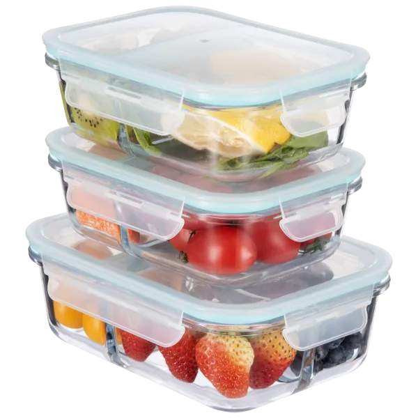 Masions 6-Piece Borosilicate Glass Divided Containers