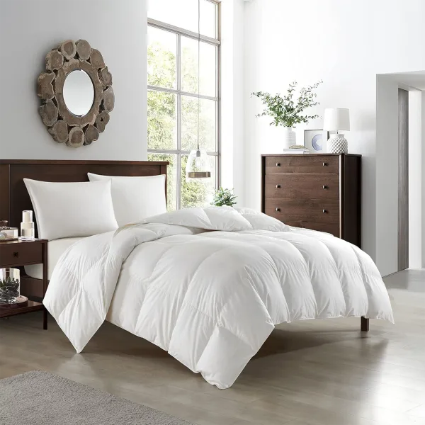 New York & Company Gianna Down & Duck Feather Comforter
