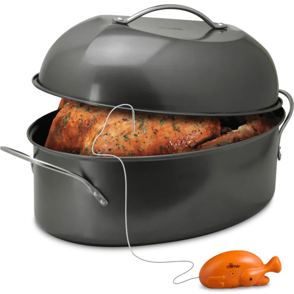 High Dome Roaster & Thermometer