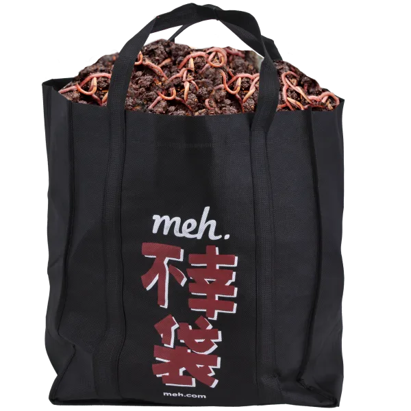 Fukobukuro 19: Fools Rush In