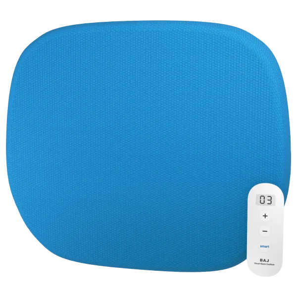 BAJ Smart Adjustable Back Cushion