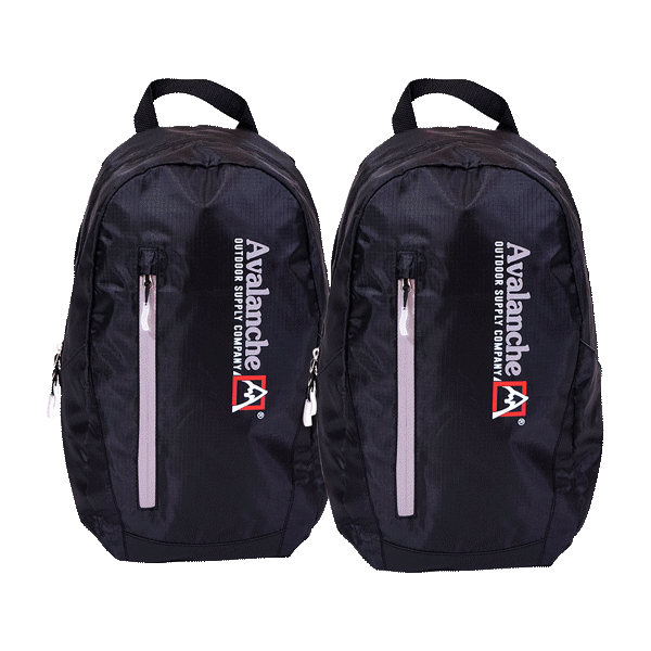 Pick-Your-2-Pack: Conair by Ivory Ella or Ful Backpacks