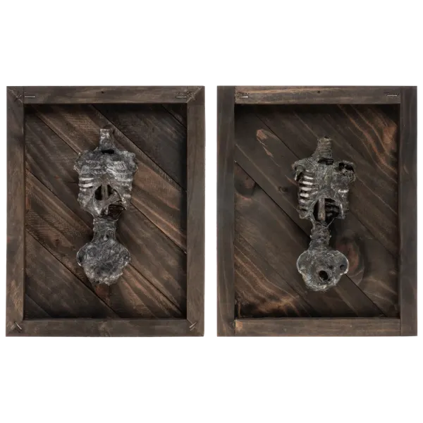 Set of 2 Small Corpsed Torso Displays