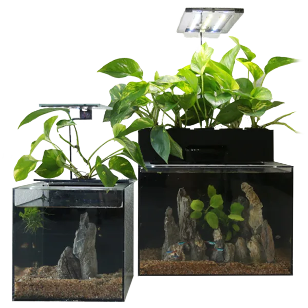 EcoQube Desktop Ecosystem: 2 or 3 Gallon Aquariums with Planter and LED Lights