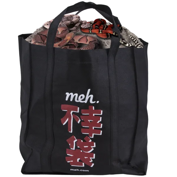 Fukobukuro 19: Fools Rush In