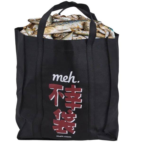 Fukobukuro 19: Fools Rush In