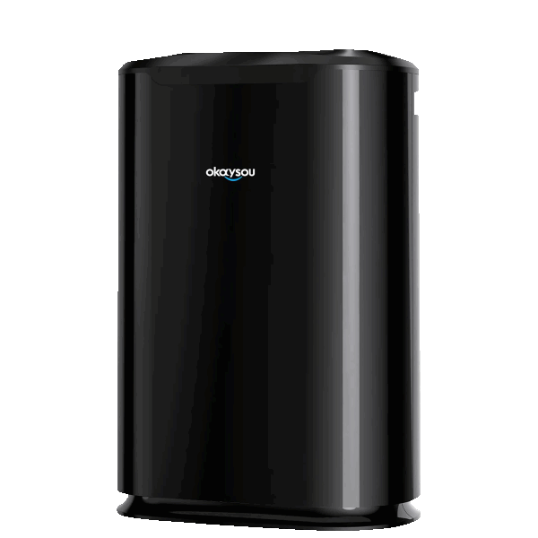 Okaysou Airmax True HEPA 8L and 10L Air Purifiers
