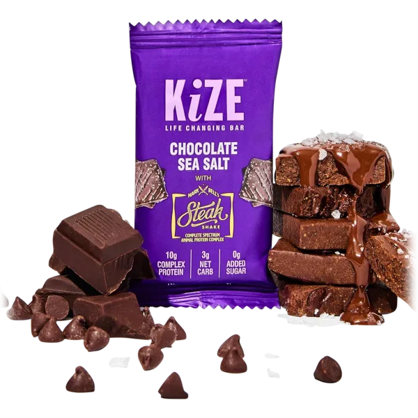 20-Pack: KiZE Keto Steak Shake Chocolate Sea Salt Protein Bars