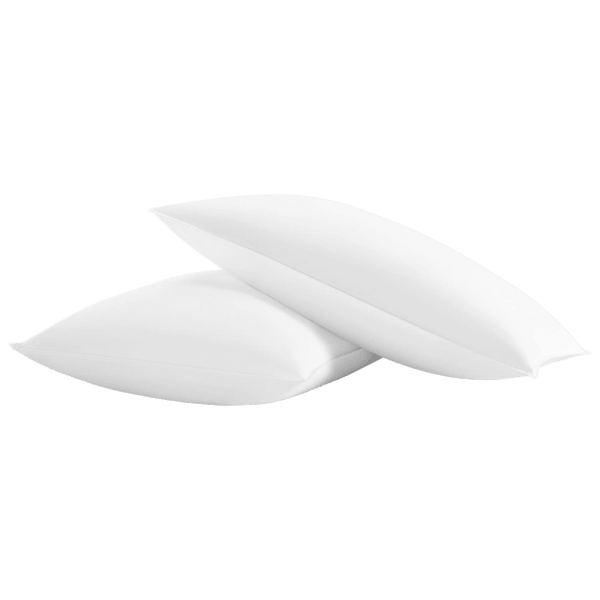 2-Pack: New York & Company Chic Duck Feather Cotton Pillows