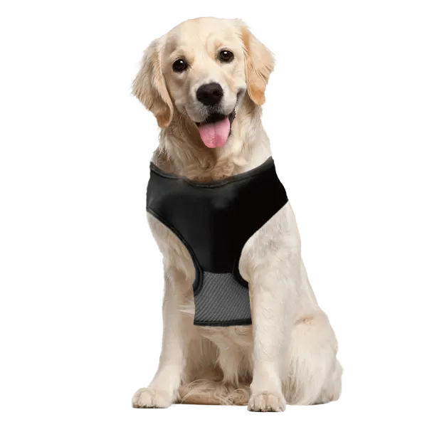 2-for-Tuesday: 2-in-1 Lucky Leash Retractable Dog Harnesses/Leashes