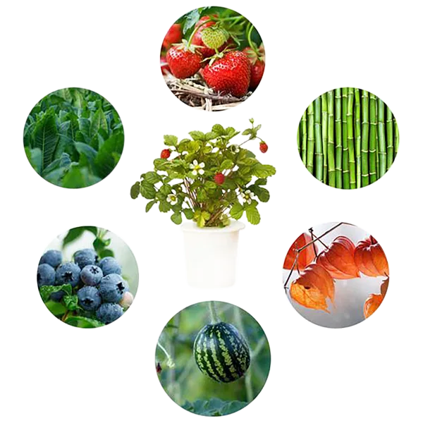 Click and Grow Experimental Plant Pods