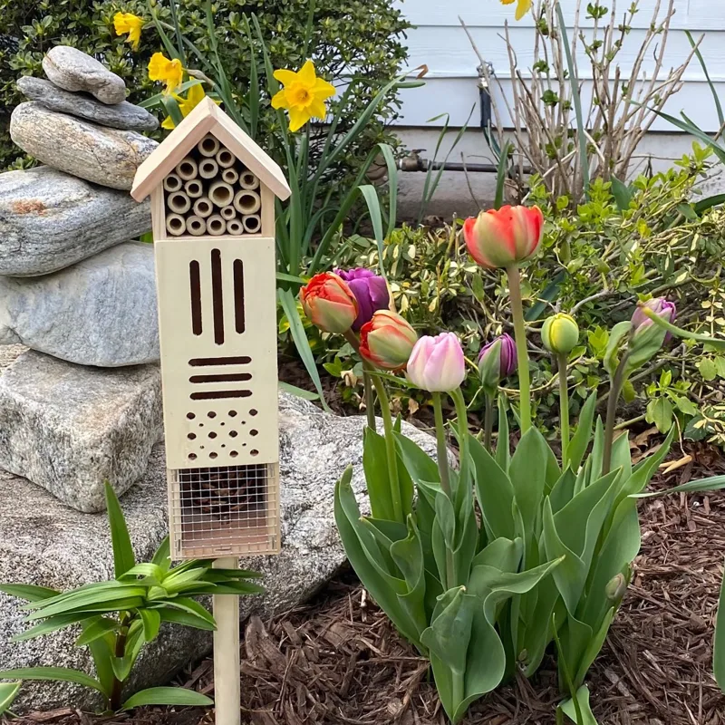 The Five Compartment Pollination Palace