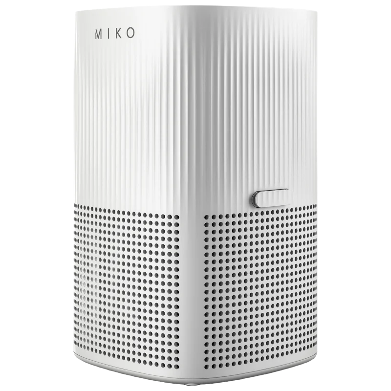 The High-Power Home Air Purifier