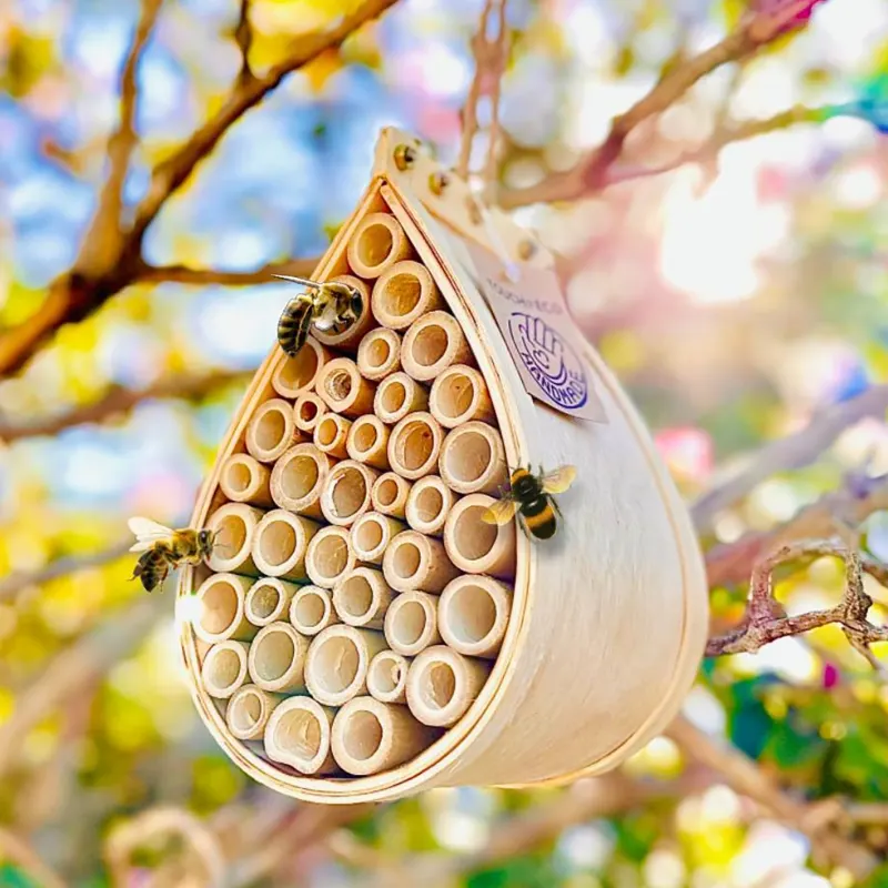 The Backyard Bee Habitat