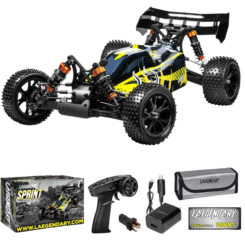 The Large-Scale High-Speed Off-Road Buggy