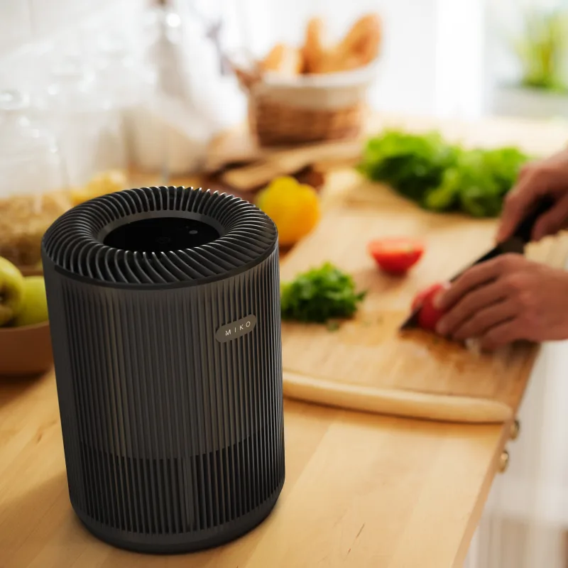 The Mini Air Purifier