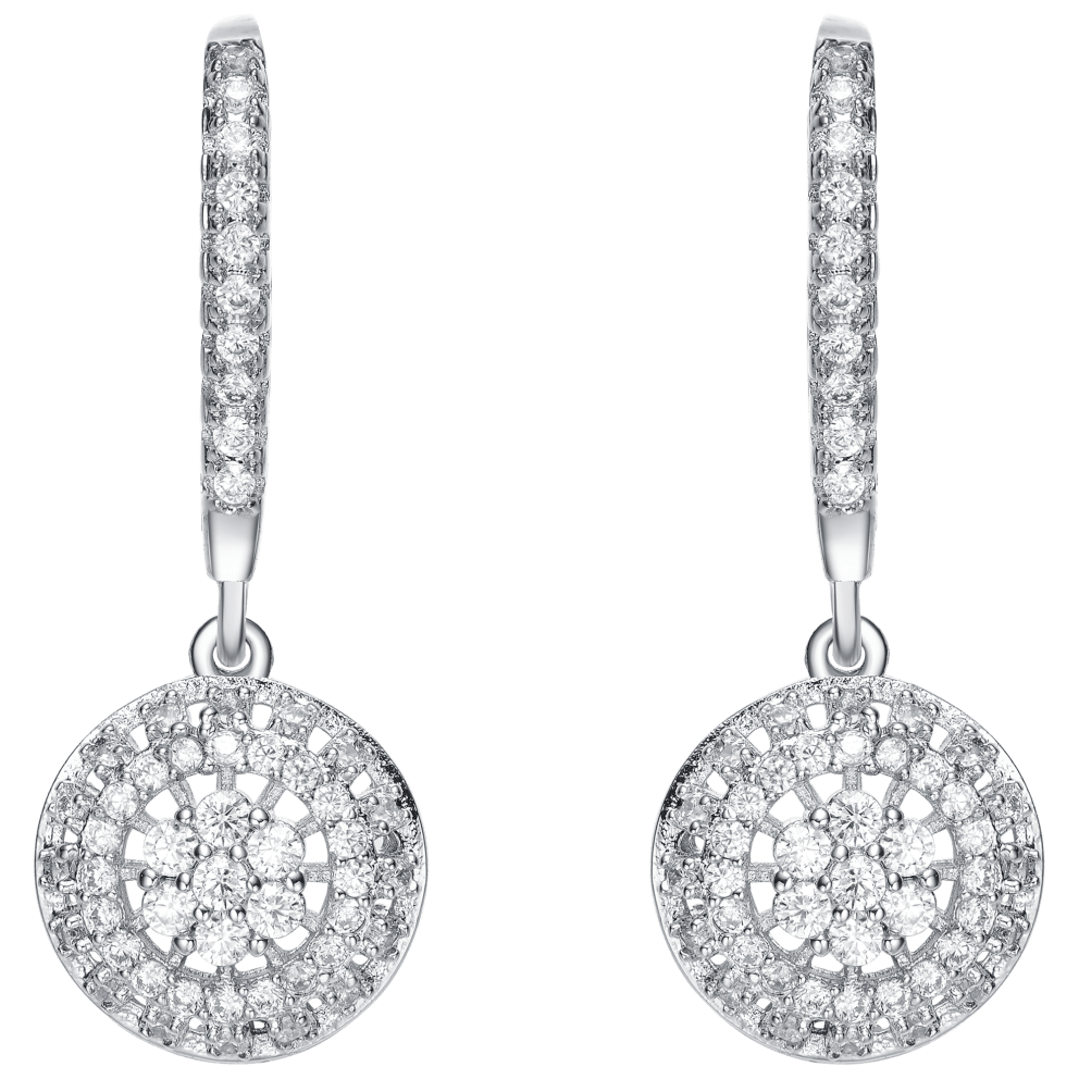 Beautiful Drop Earrings