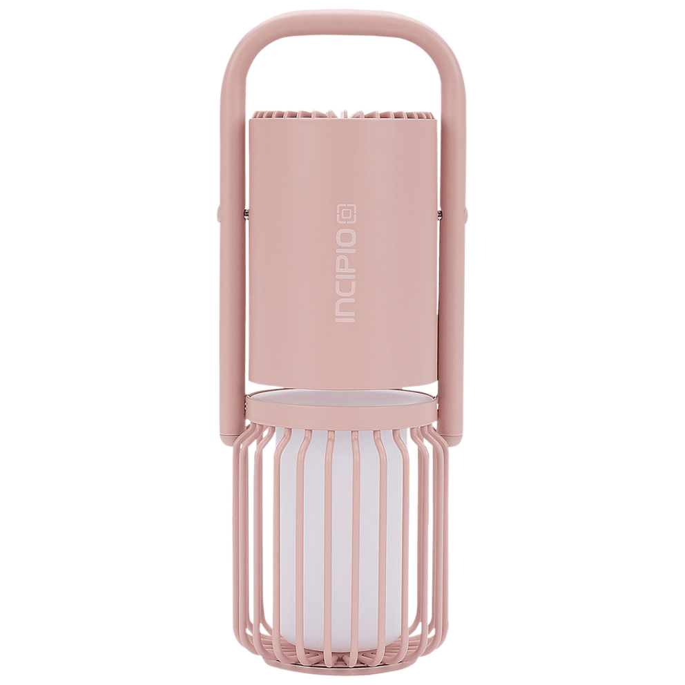 Garden Rose - Single