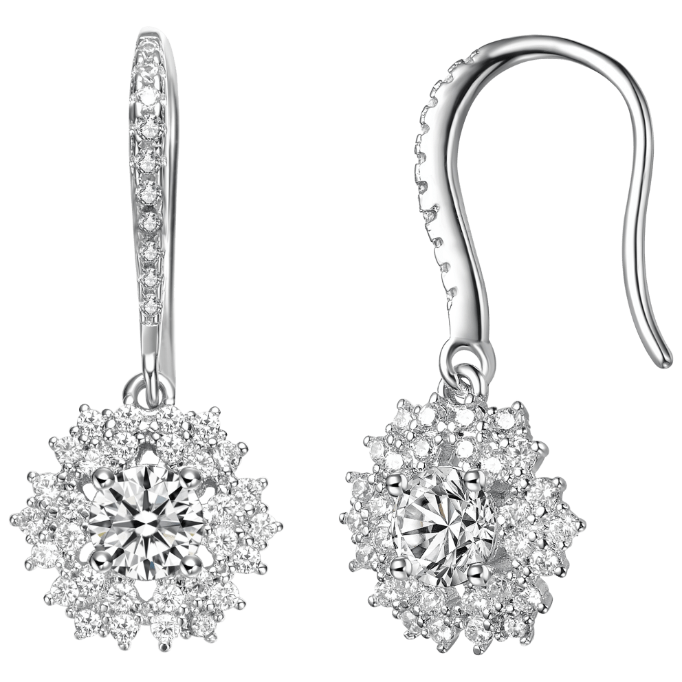 Elegant Hook Earrings