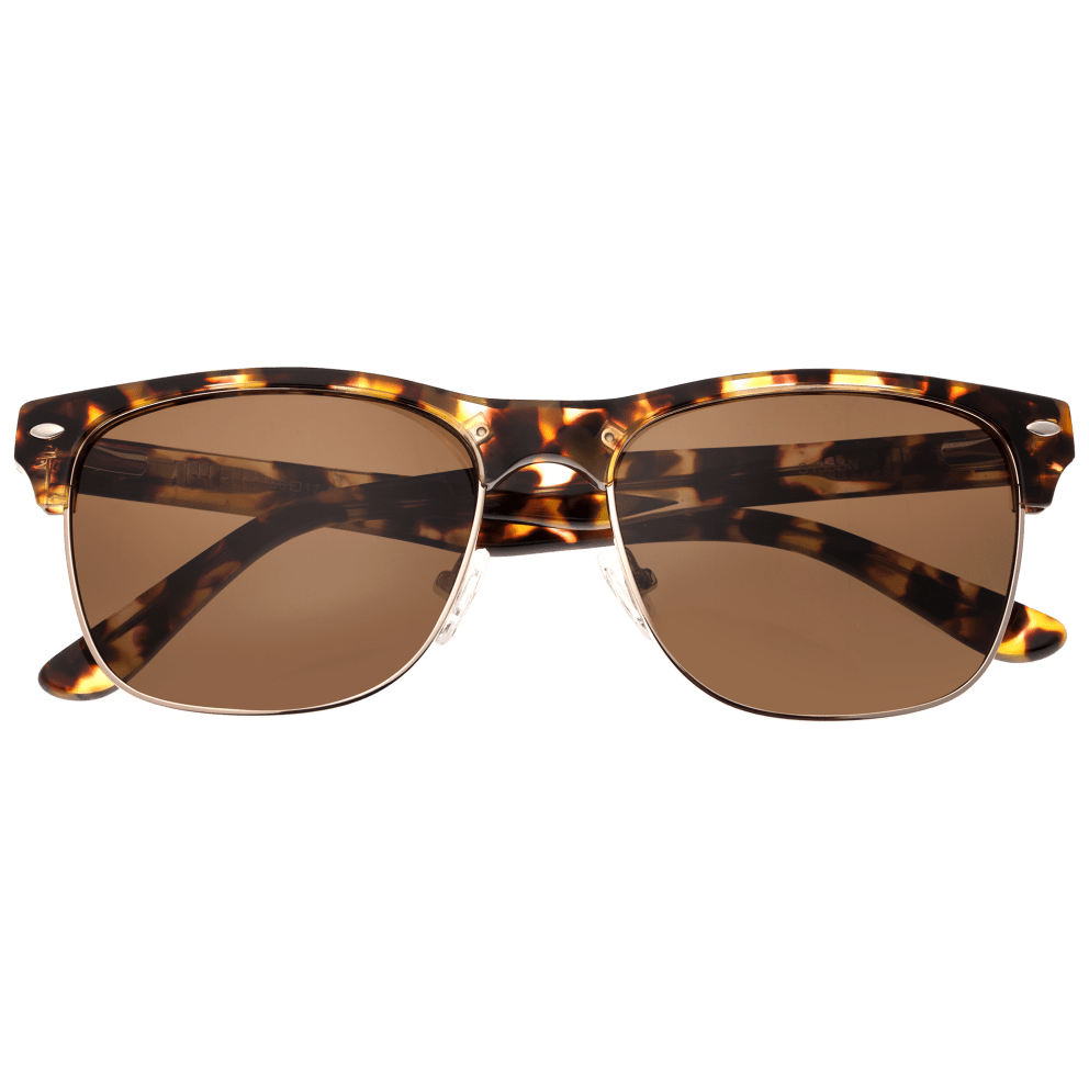 Brown Tortoise/Brown