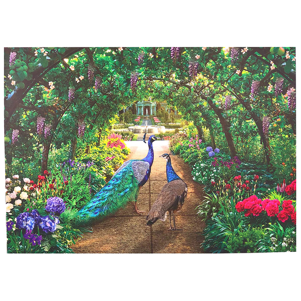 Peacock Pathway