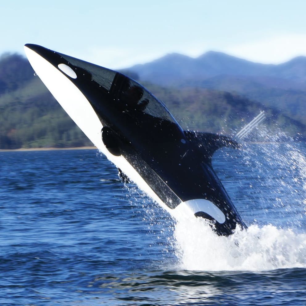 The Killer Whale Submarine