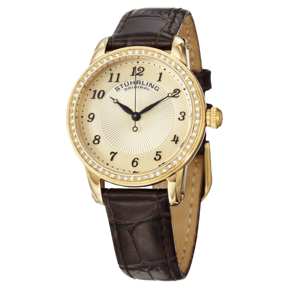 Gold-Tone Case with Brown Leather Strap