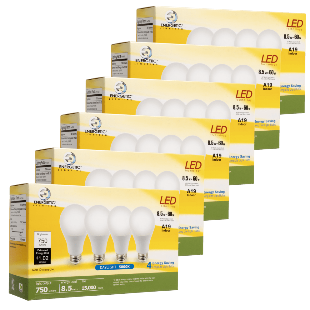 24-Pack - A19 8.5W 5000K