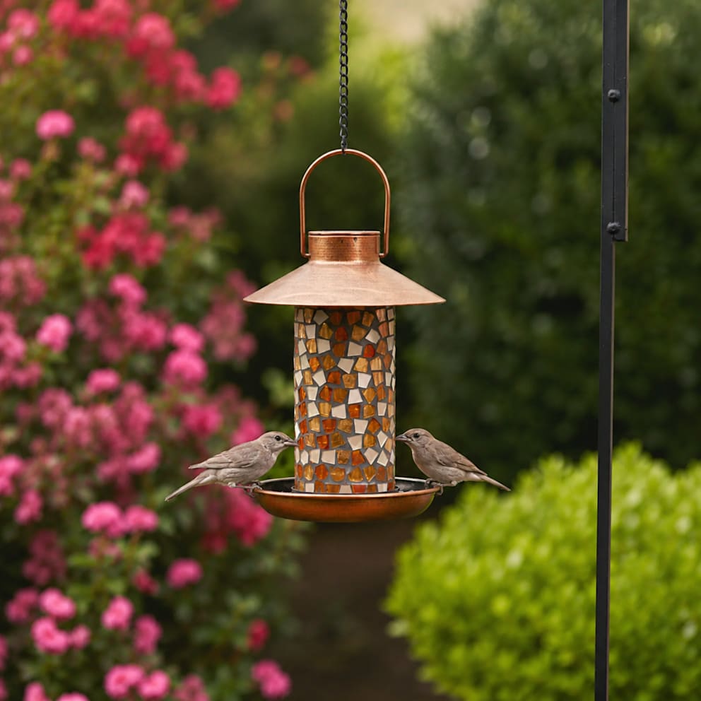 A Beautiful Backyard Accent Birds Return To Again and Again.