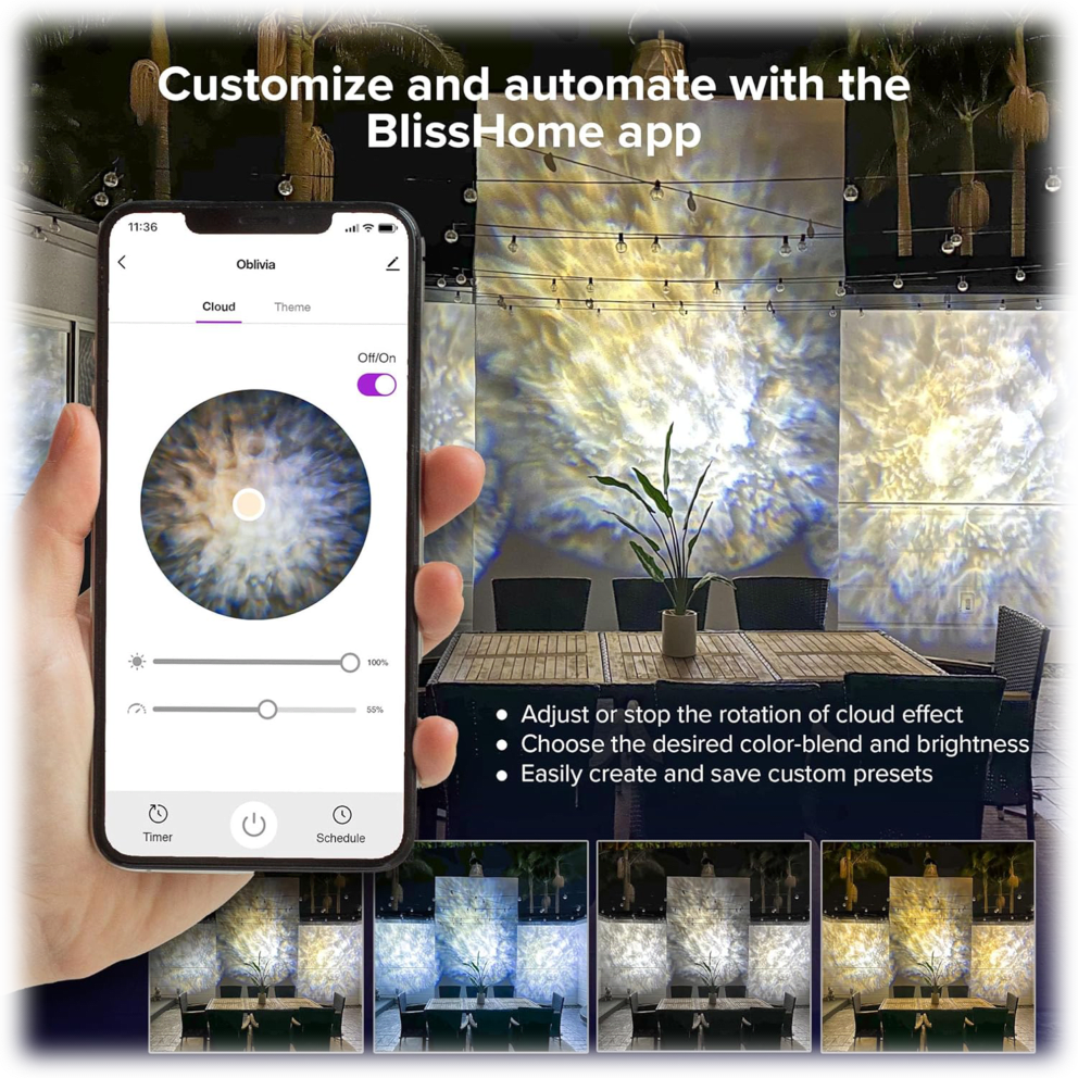 Customize your lights with the BlissHome app