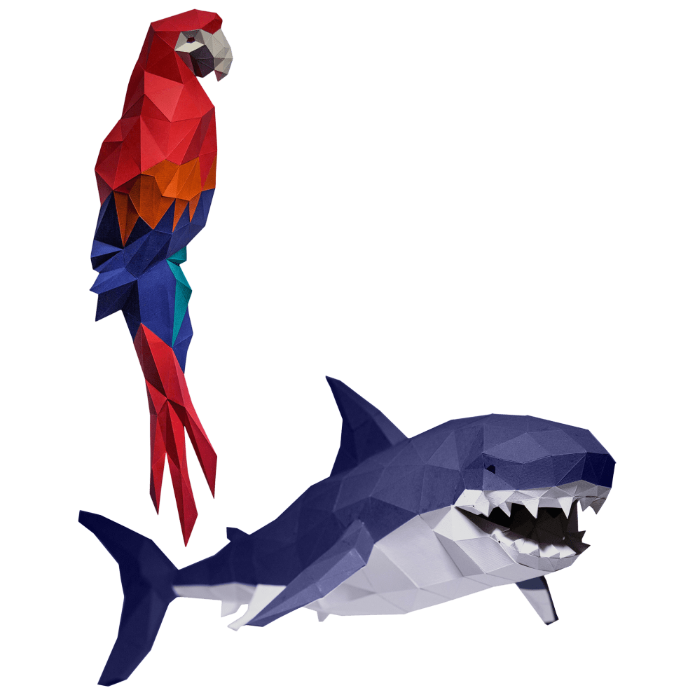 Macaw & Shark