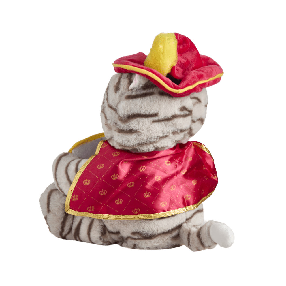 image in 360 degree viewer