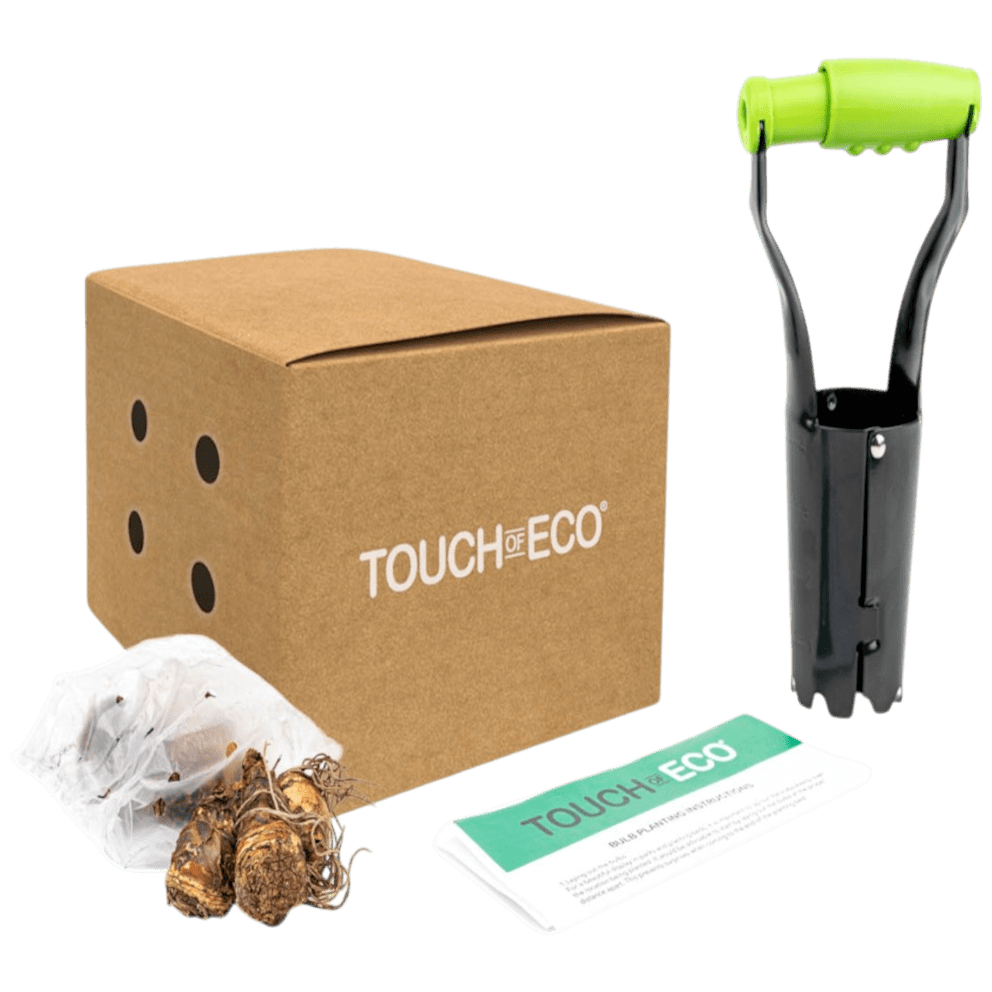 28 Bulbs with Planting Tool