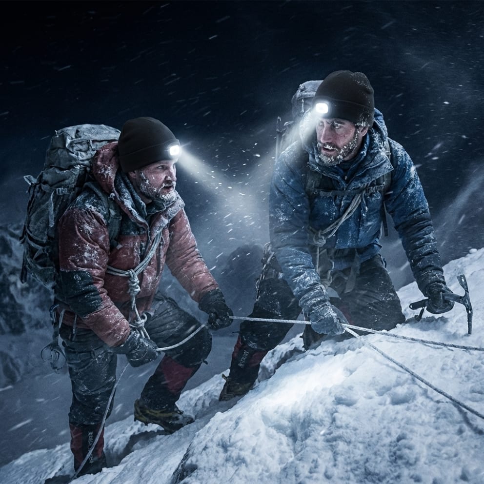 Guess our movie reference in the forum.