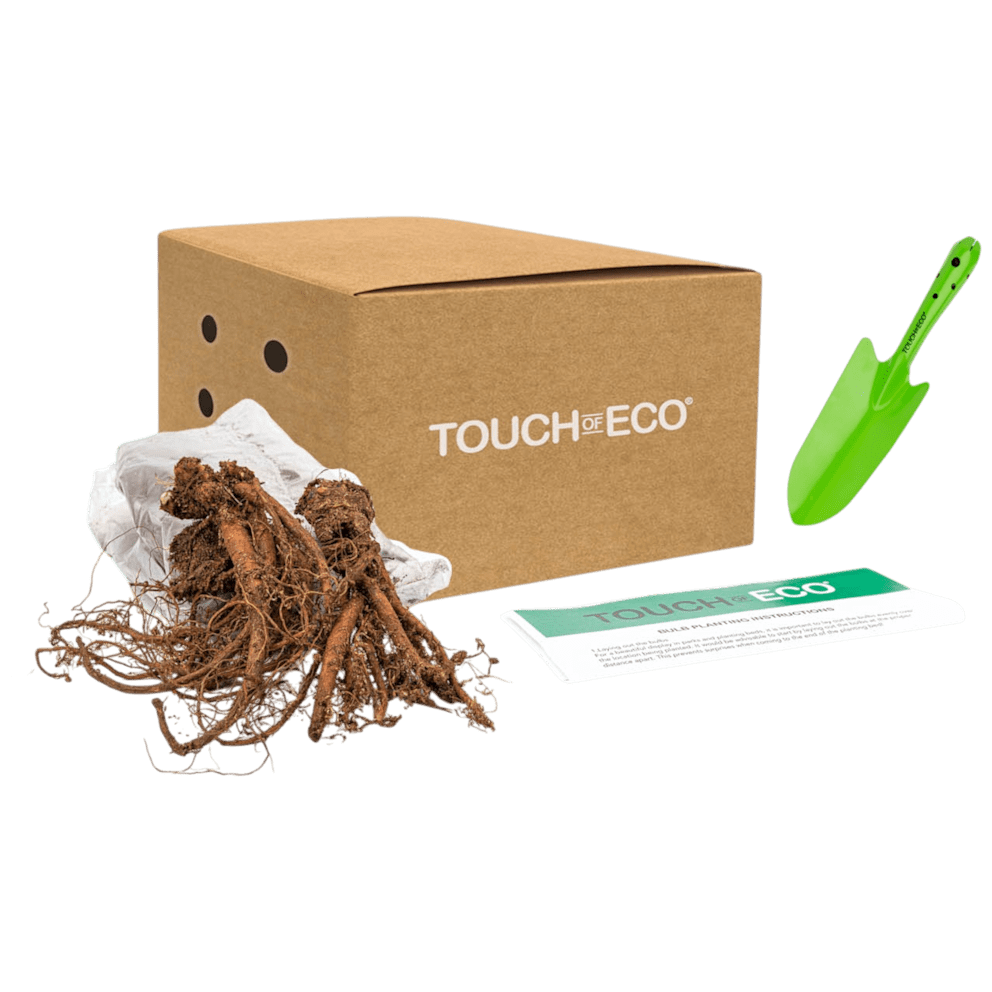 15 Bulbs with Planting Tool