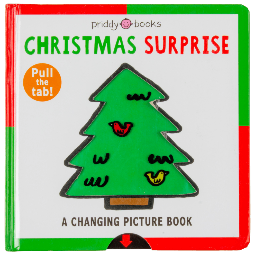 A Changing Picture Book: Christmas Surprise