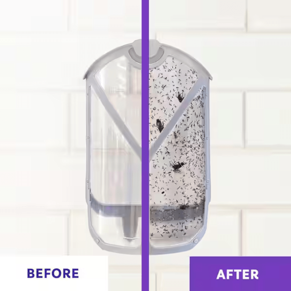 Mess-free insect control that traps flying bugs discreetly and effectively