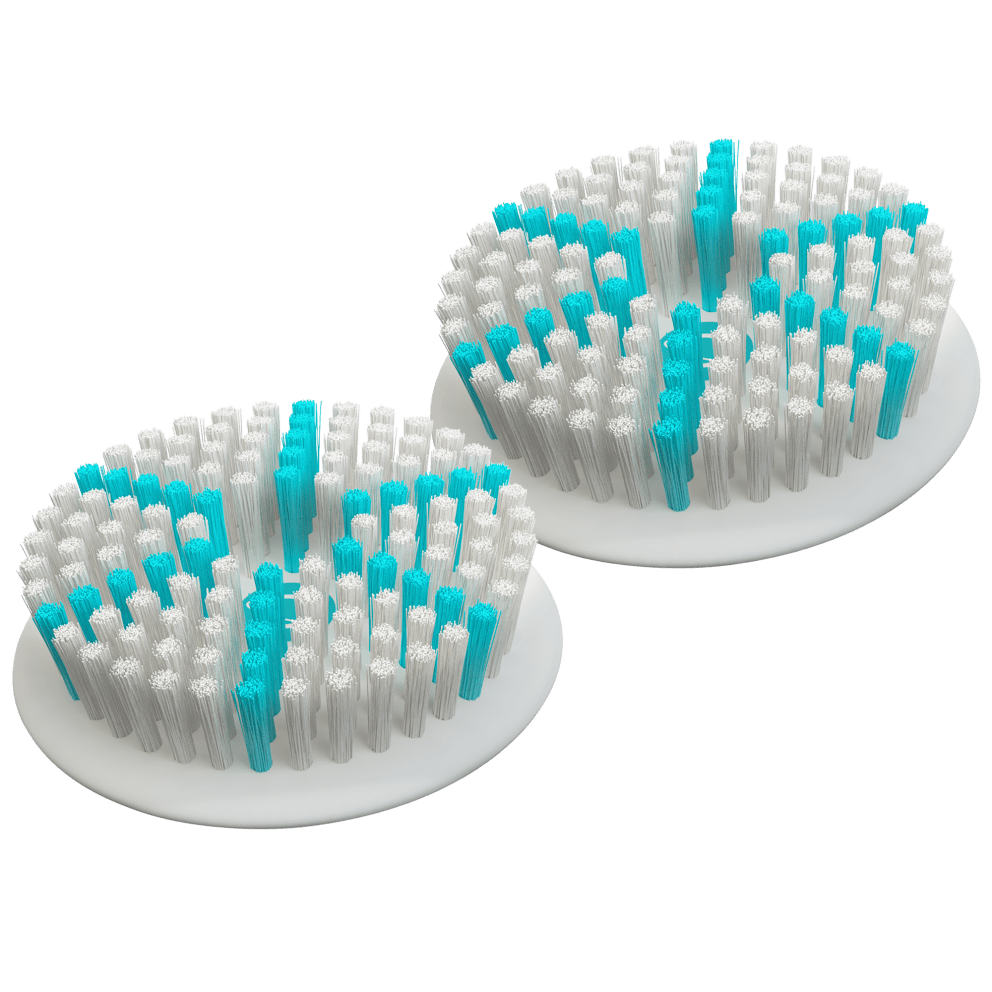 Daily Care Brush (2-Pack)
